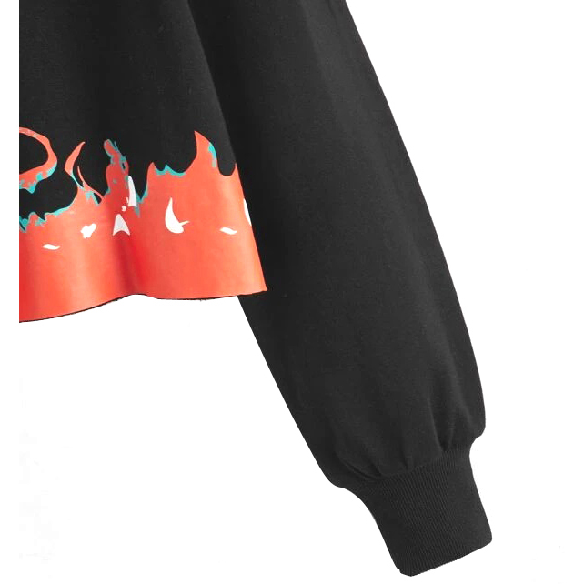 Graphic Print Crop Pullover